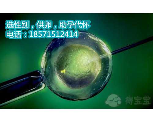 广州代孕网站,胎心率可以看出生男生女
