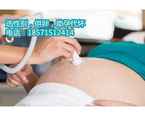 广州帮人代生,海南试管婴儿流程