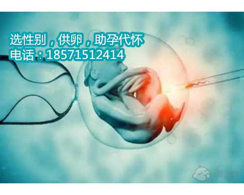 输卵管堵塞广州50万代孕了要吗，输卵管怀孕怎么办啊