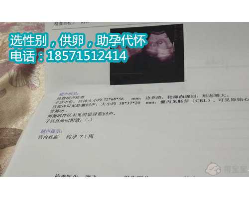 广州有过代孕,1杭州妇幼试管婴儿多少钱
