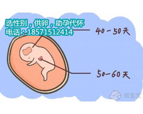 广州卵子捐赠,2做一个试管生男孩需要多少钱