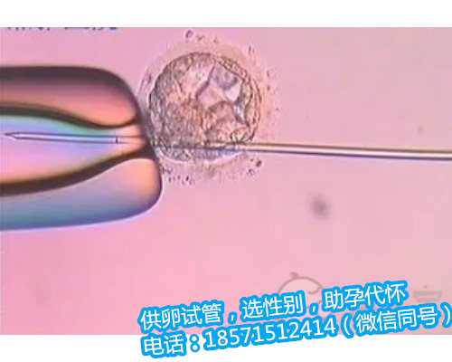 孕妇预防甲肝传染给广州包生儿子的方法