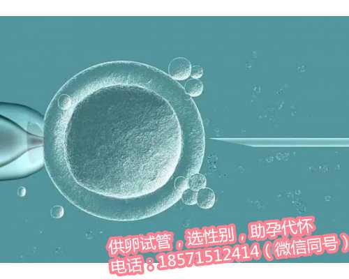 囊胚级别高低跟什么有关_能不能在实验室直接看出广州供卵费用的性别？