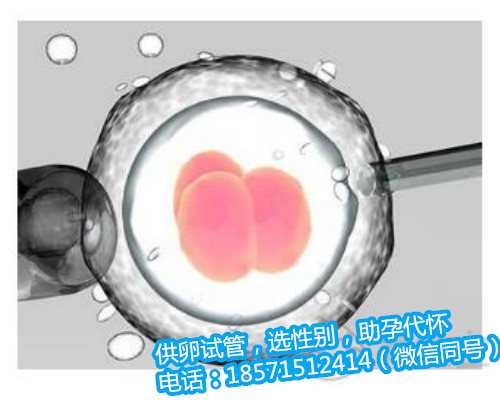 广州助孕中心,卵巢早衰怎么检查出来的