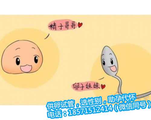 广州借卵合法,二胎政策是利还是弊呢