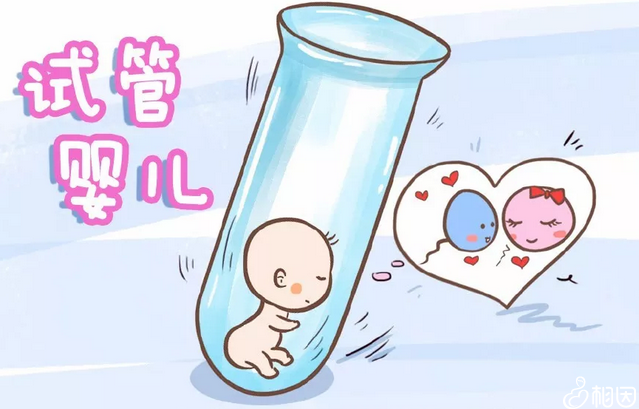 广州试管助孕：深入解析辅助生殖技术与生育选择