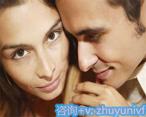 校车出行指南：家长与学童的安全须知