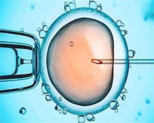 六周广州助孕胚胎图揭秘：全面解析六周胚胎发育详情