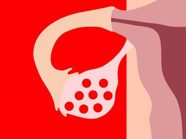 广州助孕机构推荐,为不孕不育的夫妻献上生命的祝福