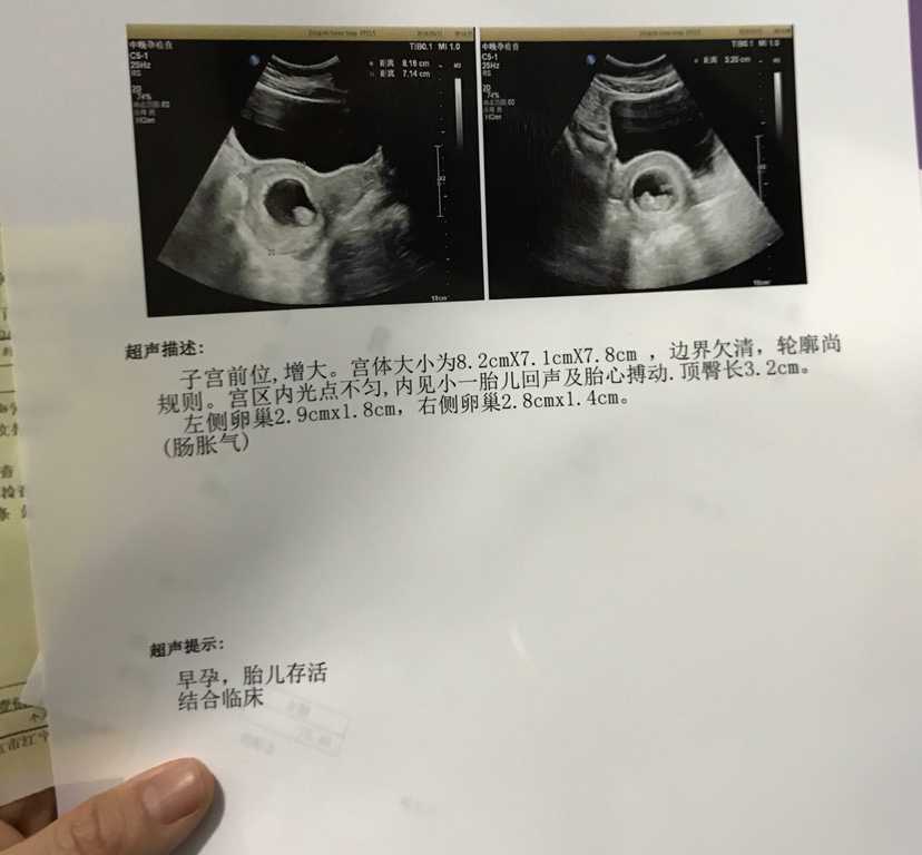 广州优质生殖助孕医院概览