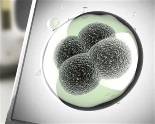 2026年广州供卵试管助孕的费用与流程解析