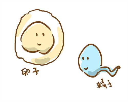 广州大龄供卵试管-广州供卵有成功的吗-【热门题】谣言_第三代试管婴儿技术是