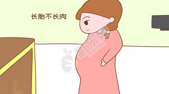 广州哪里供卵成功率高，国内第1个“试管婴儿”已33岁，现状让人感慨，她和常