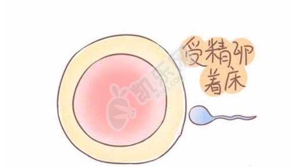 广州包男孩包出生，【不能接受供卵试管怎么办】宝宝出生了，俺的小棉袄