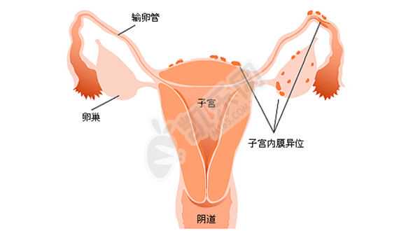 东莞正规医院代孕,濮阳市妇幼保健院试管婴儿移植一次成功率怎么样